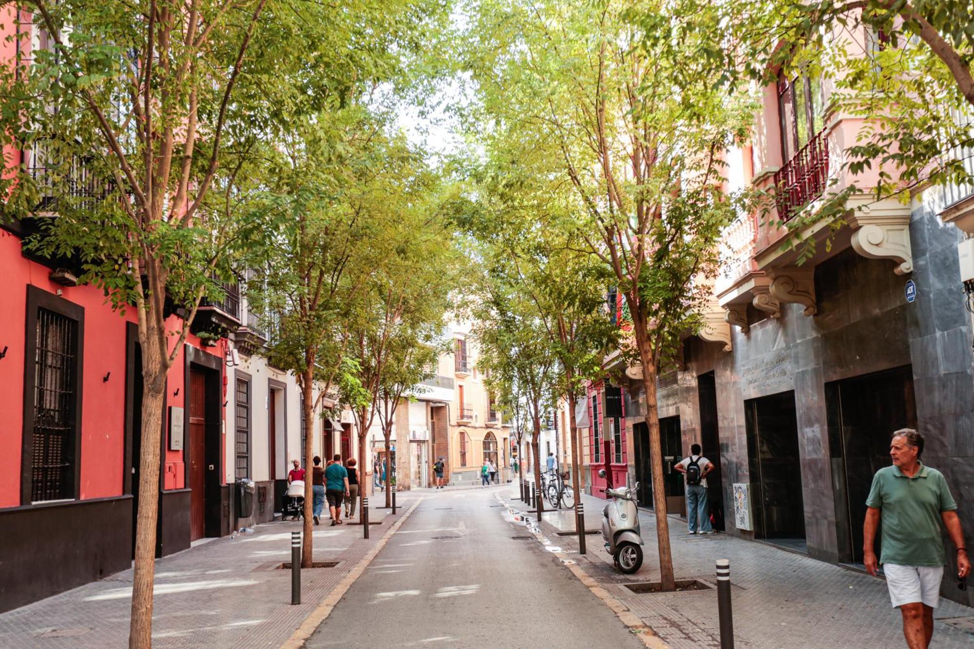 Monkeys Apartments Cervantes Sevilla Exterior foto