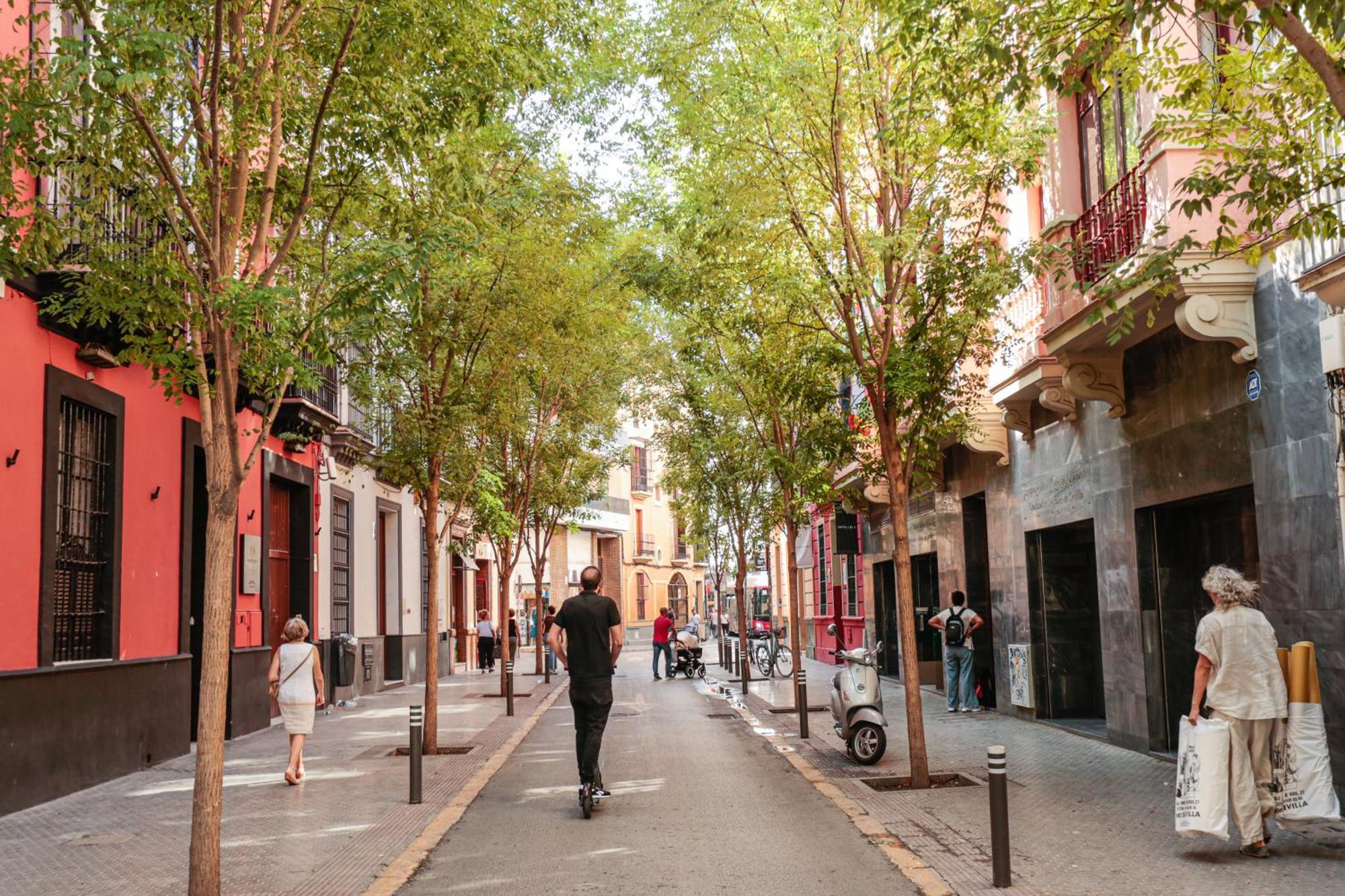Monkeys Apartments Cervantes Sevilla Exterior foto